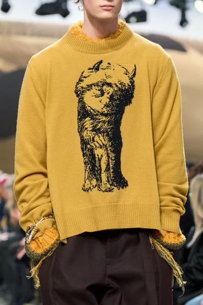 Look 36